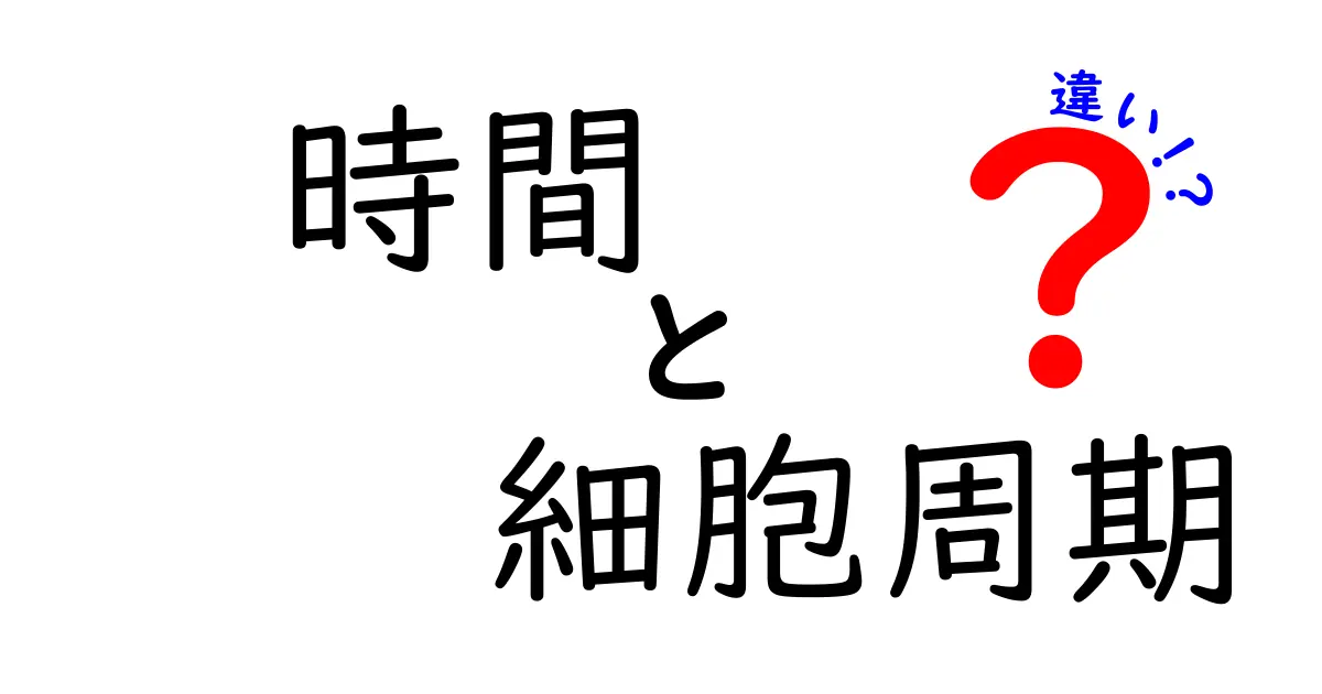 時間と細胞周期の違いとは？理解を深めるための中学生向けガイド