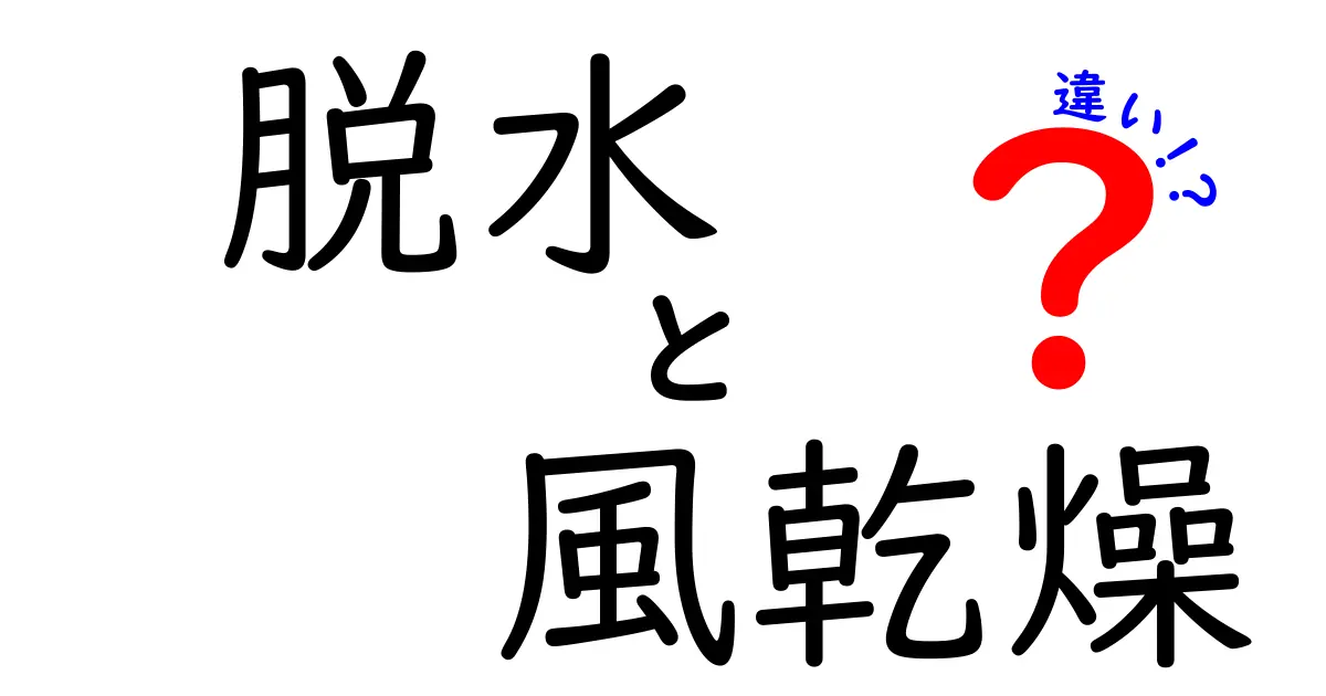脱水と風乾燥の違いを理解しよう!それぞれの特長と用途