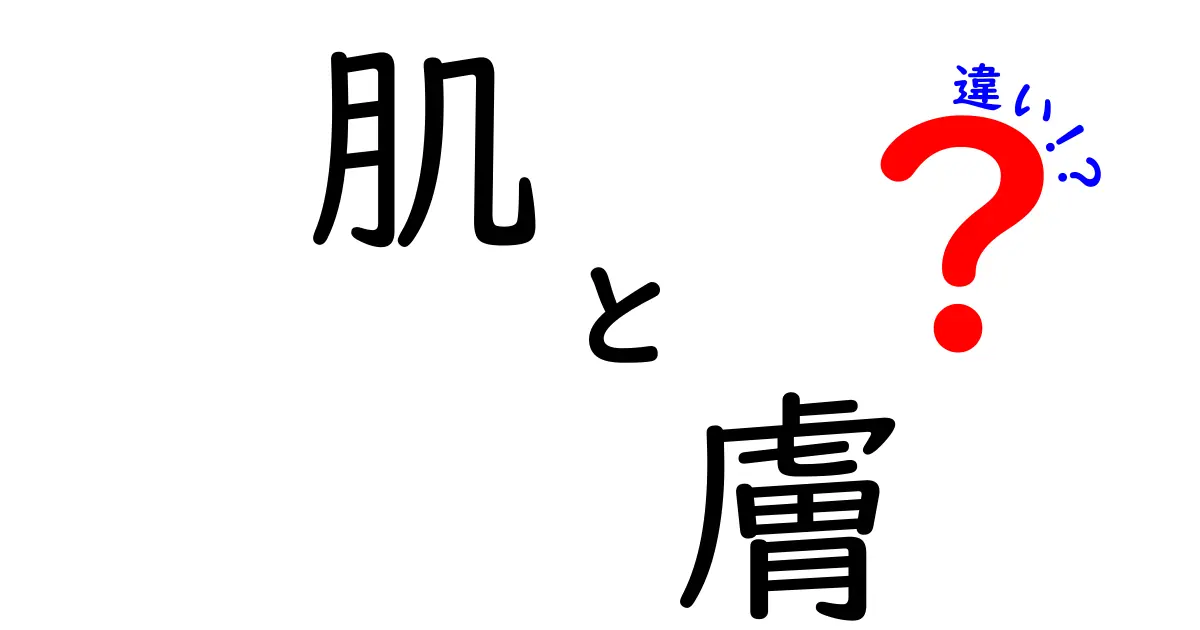 肌と膚の違いを徹底解説！あなたの肌を守るために知っておくべきこと