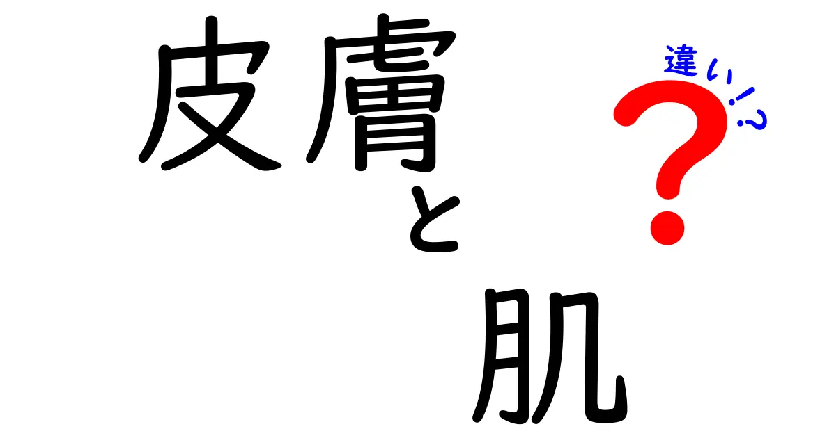 皮膚と肌、実は違う!? 正しい理解で美しさアップ!