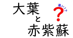 大葉と赤紫蘇の違いは？
