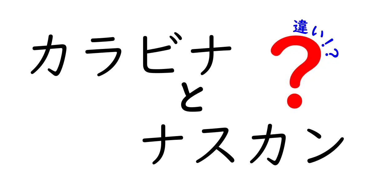 カラビナとナスカンの違いを徹底解説！どっちを選ぶべき？