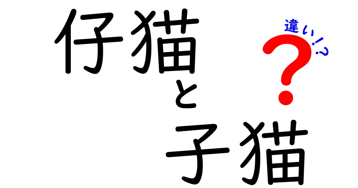 仔猫と子猫の違いを徹底解説！どちらが本当の猫の赤ちゃんか知っていますか？