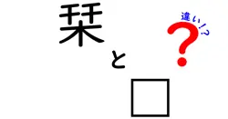 栞と琹の違いは？