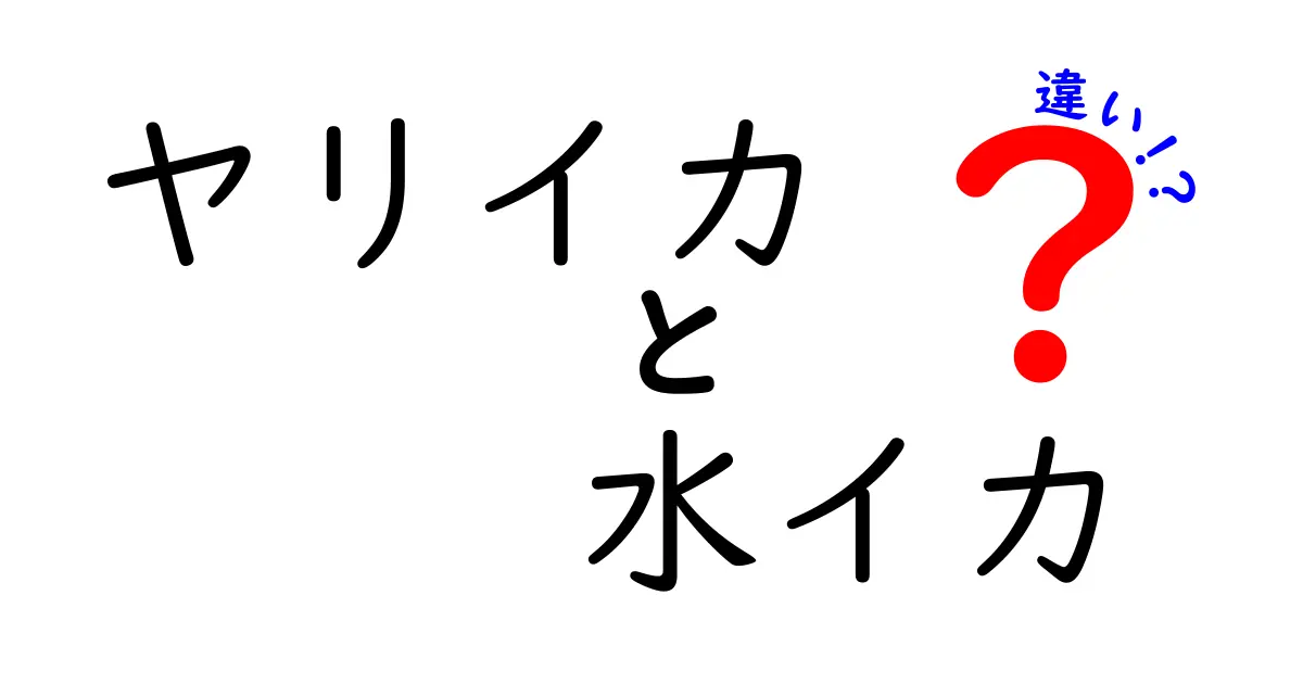 ヤリイカと水イカの違いを徹底解説！どちらが美味しいの？