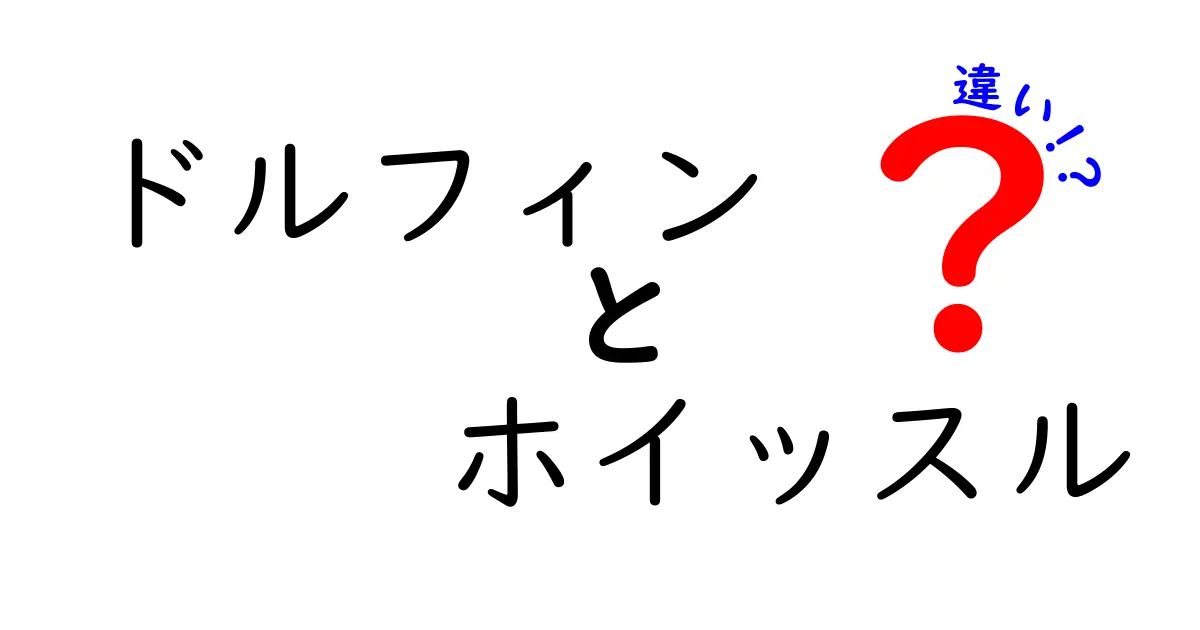 ドルフィンとホイッスルの違いを徹底解説！どちらがあなたに合っている？