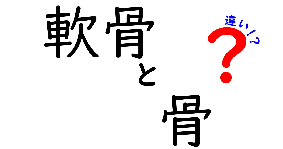 軟骨と骨の違いを徹底解説！あなたの体を支える2つの構造とは？