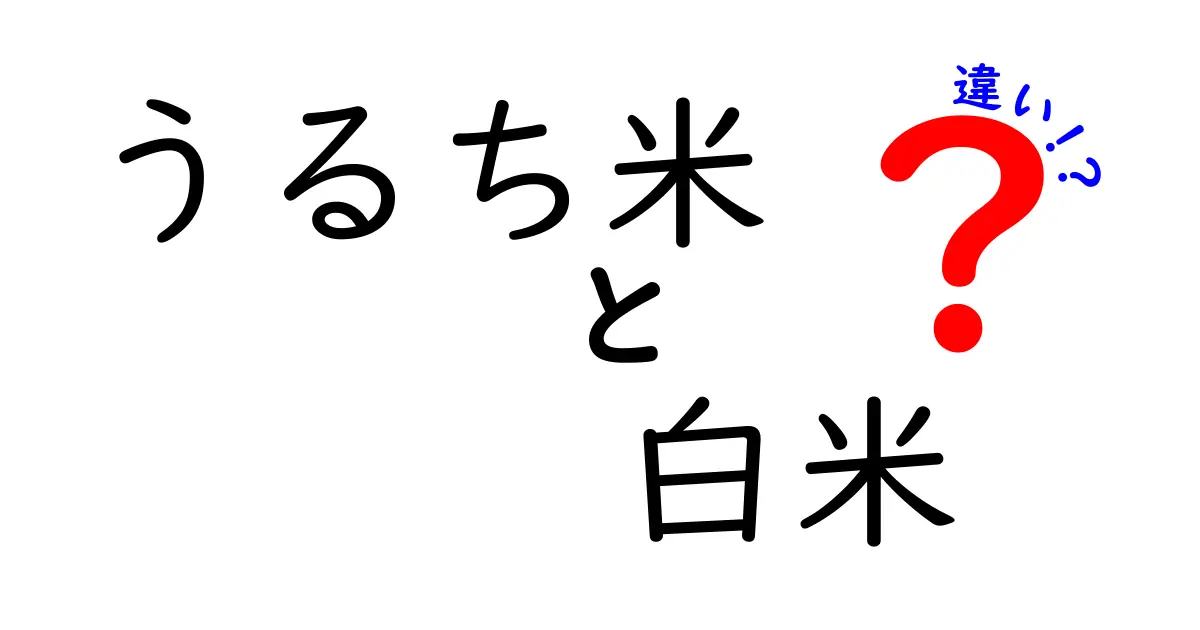 うるち米と白米の違いを徹底解説！あなたのご飯選びに役立つ情報