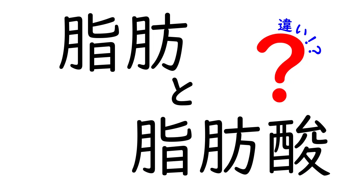 脂肪と脂肪酸の違いを知ろう！健康に役立つ基礎知識