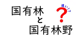 国有林と国有林野の違いは？