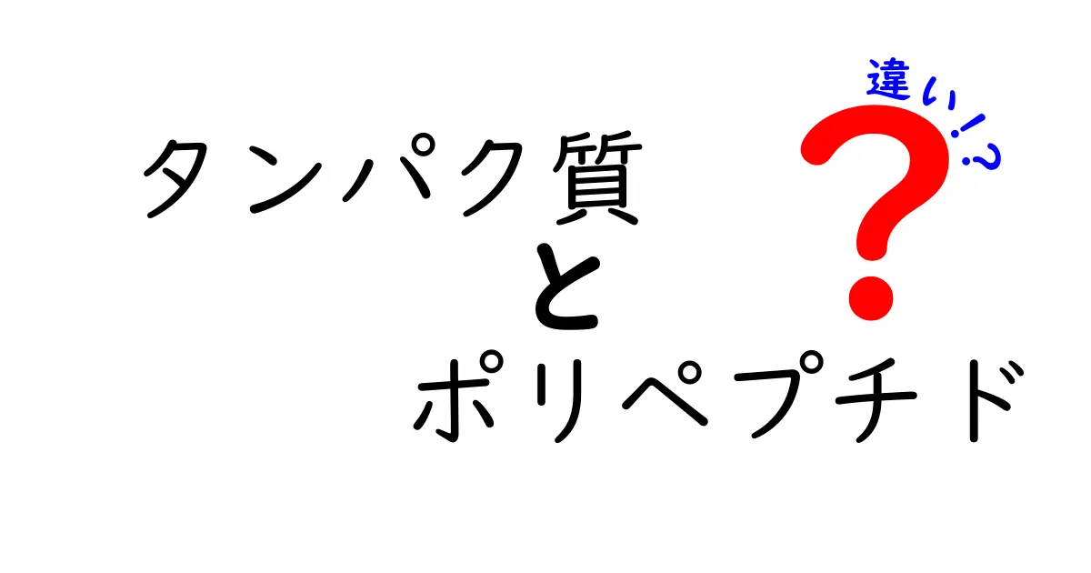 タンパク質とポリペプチドの違いとは？体を支える重要な成分を徹底解説