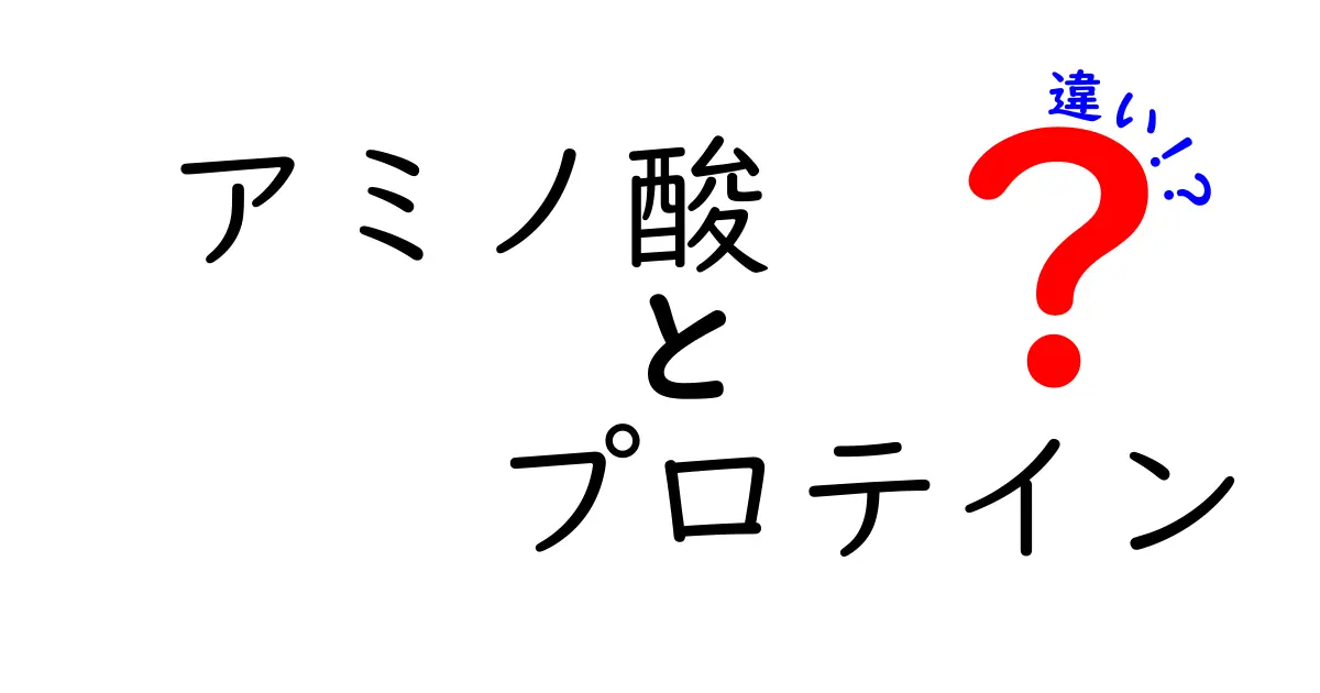 アミノ酸とプロテインの違いを徹底解説！知っておきたい基礎知識