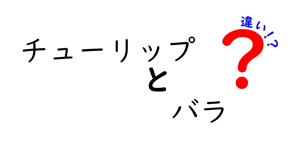 チューリップとバラの違いを徹底解説！どちらが人気？