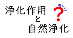 浄化作用と自然浄化の違いは？