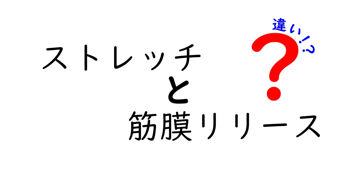 ストレッチと筋膜リリースの違いとは？効果ややり方を徹底解説！