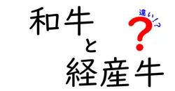 和牛と経産牛の違いは？