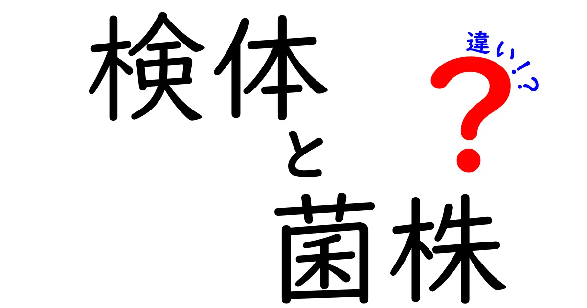 検体と菌株の違いをわかりやすく解説！その重要性とは？