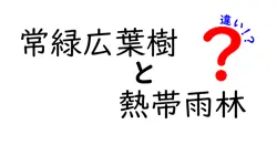 常緑広葉樹と熱帯雨林の違いは？