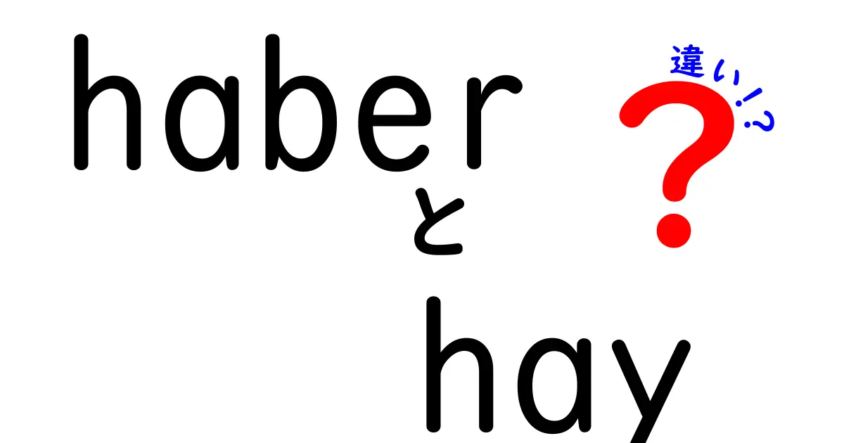 「haber」と「hay」の違いを徹底解説！スペイン語の基本をマスターしよう！