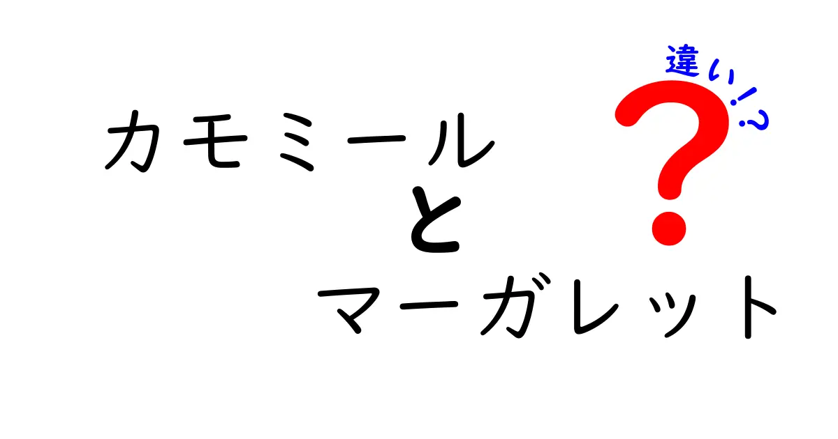 カモミールとマーガレットの違いについて解説！魅力や特徴を比較しよう