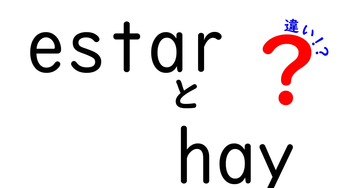 「estar」と「hay」の違いを徹底解説！スペイン語の基礎を学ぼう