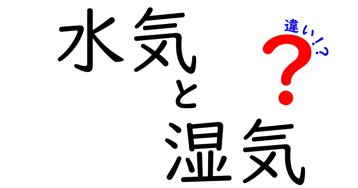 水気と湿気の違いを徹底解説！あなたの生活に潜む二つの水分の正体とは？