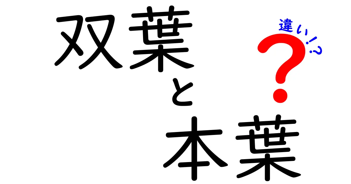 双葉と本葉の違いとは？育て方や見分け方を徹底解説