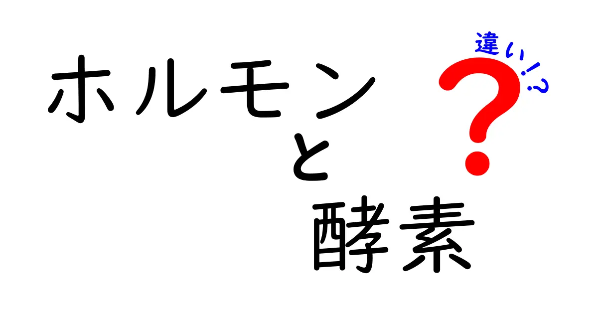 ホルモンと酵素の違いをわかりやすく解説！身体に与える影響とは？