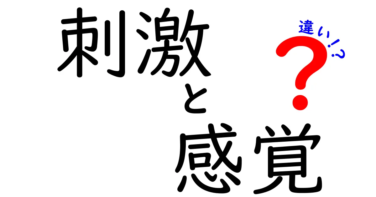 刺激と感覚の違いを徹底解説！知識を深めよう