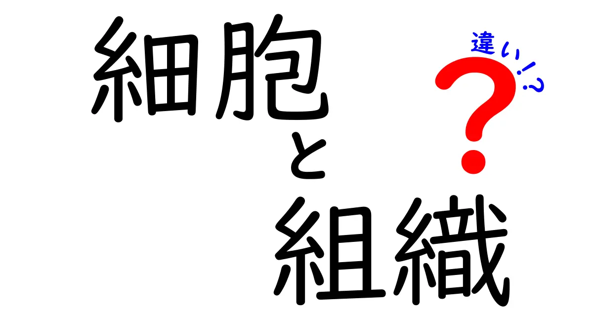 細胞と組織の違いを徹底解説！それぞれの役割と機能は何か？