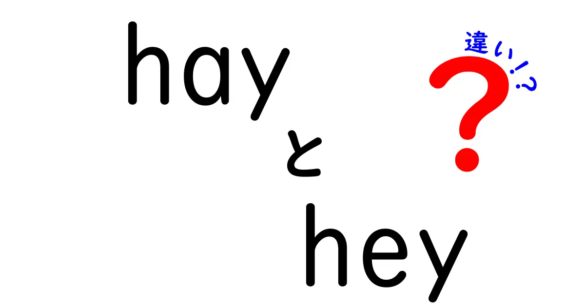 「hay」と「hey」の違いを徹底解説！英語の基礎を学ぼう