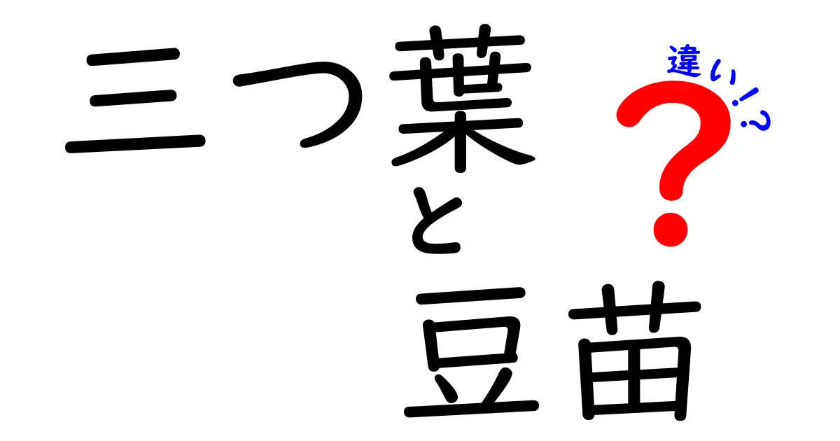 三つ葉と豆苗の違いを知って、料理の幅を広げよう！