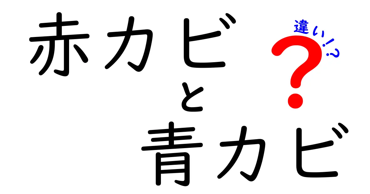 赤カビと青カビの違いを知っていますか？見分け方や特徴を徹底解説