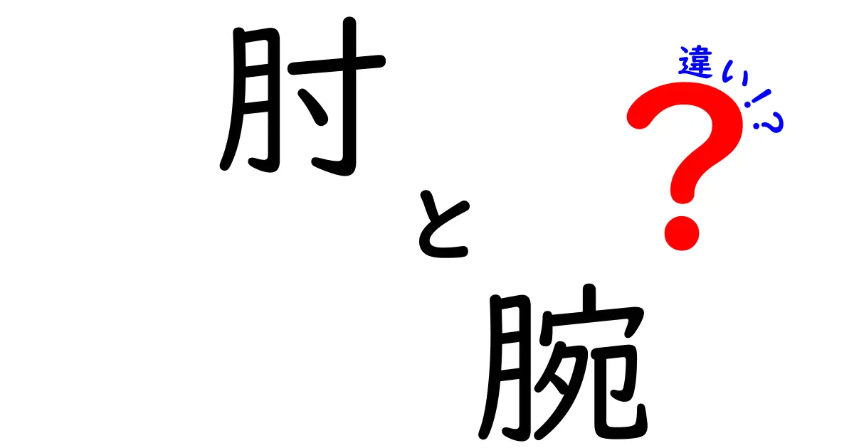 肘と腕の違いをシンプルに解説！どちらも大切な体の部分です