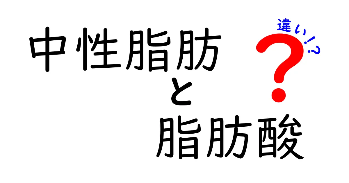 中性脂肪と脂肪酸の違いを知ろう！健康な体のために必要な理解