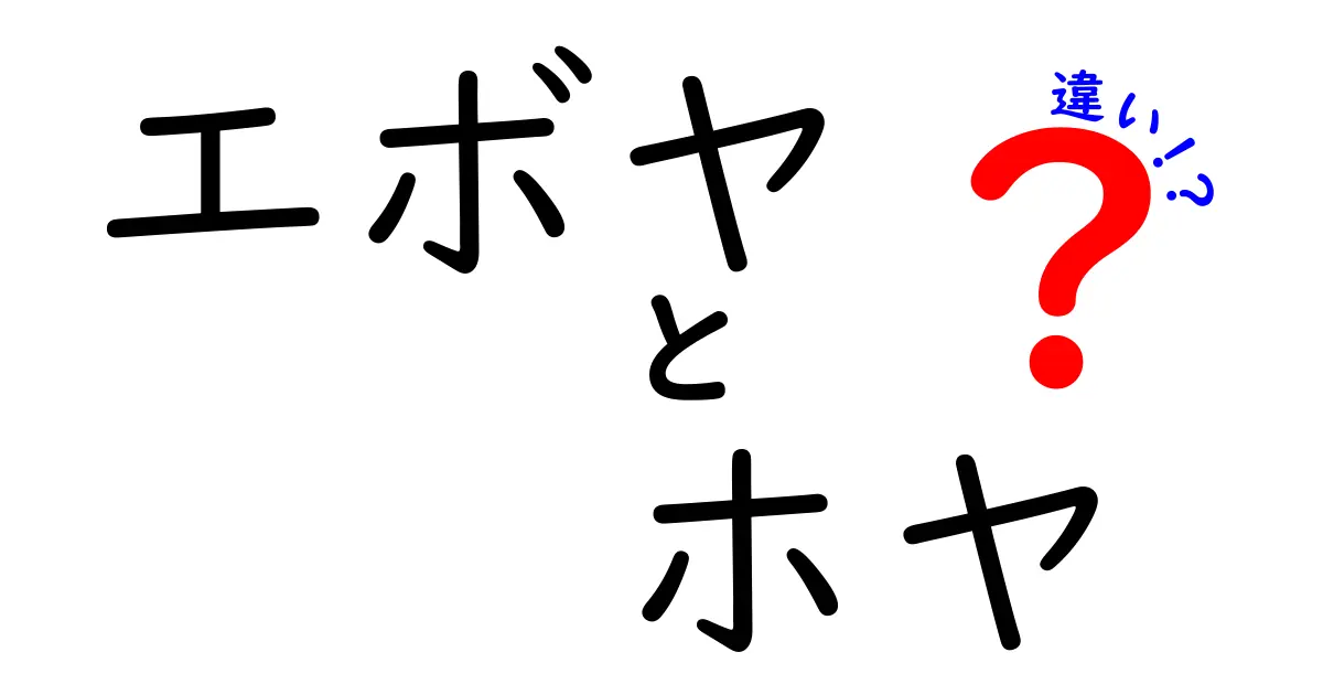 エボヤとホヤの違いとは？見た目や味、栄養価を徹底比較！