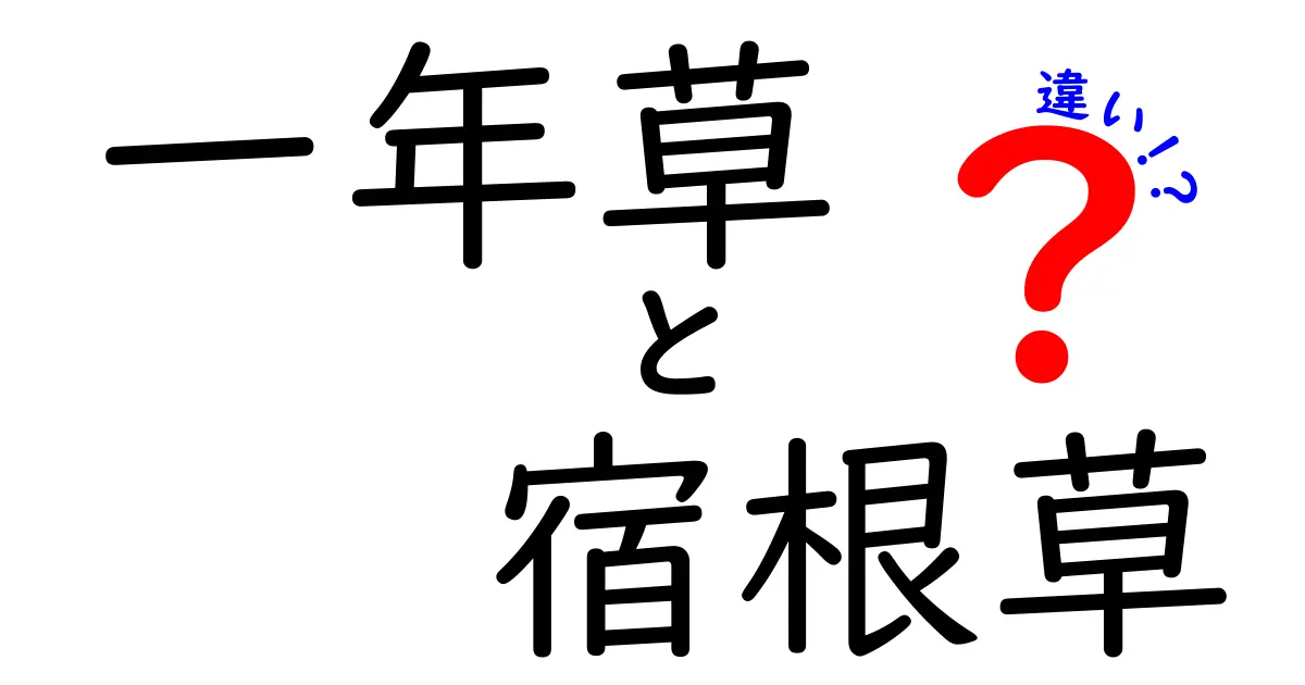 一年草と宿根草の違いを徹底解説！あなたのガーデニングに役立つ知識