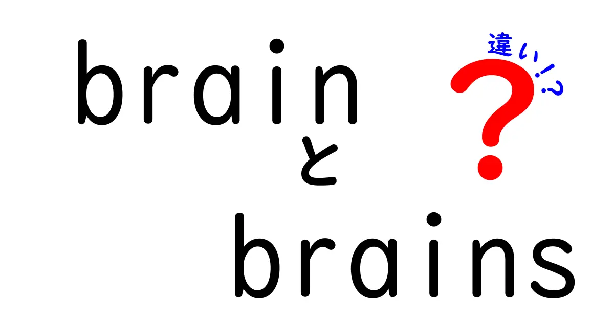 「brain」と「brains」の違いを徹底解説！よく使われる場面とは？