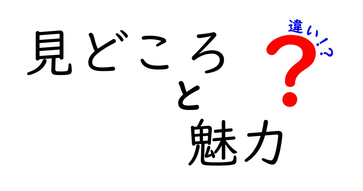 見どころと魅力の違いを徹底解説！あなたの好みがわかるヒント