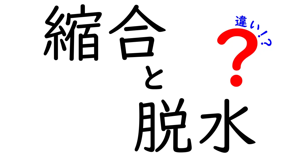縮合と脱水の違いをわかりやすく解説!化学反応の基礎知識