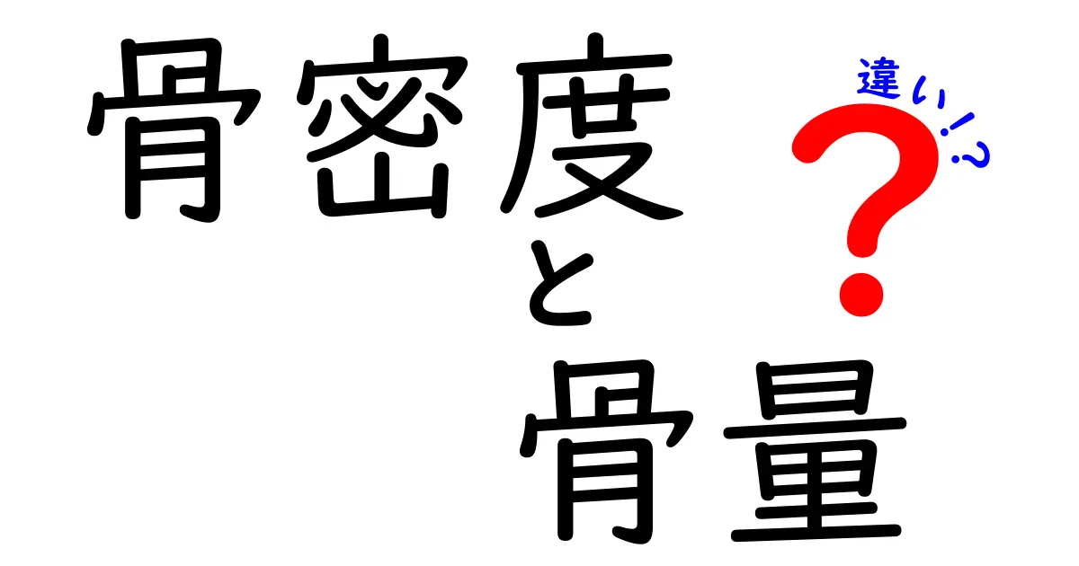 骨密度と骨量の違いとは？健康を知るための基本ガイド