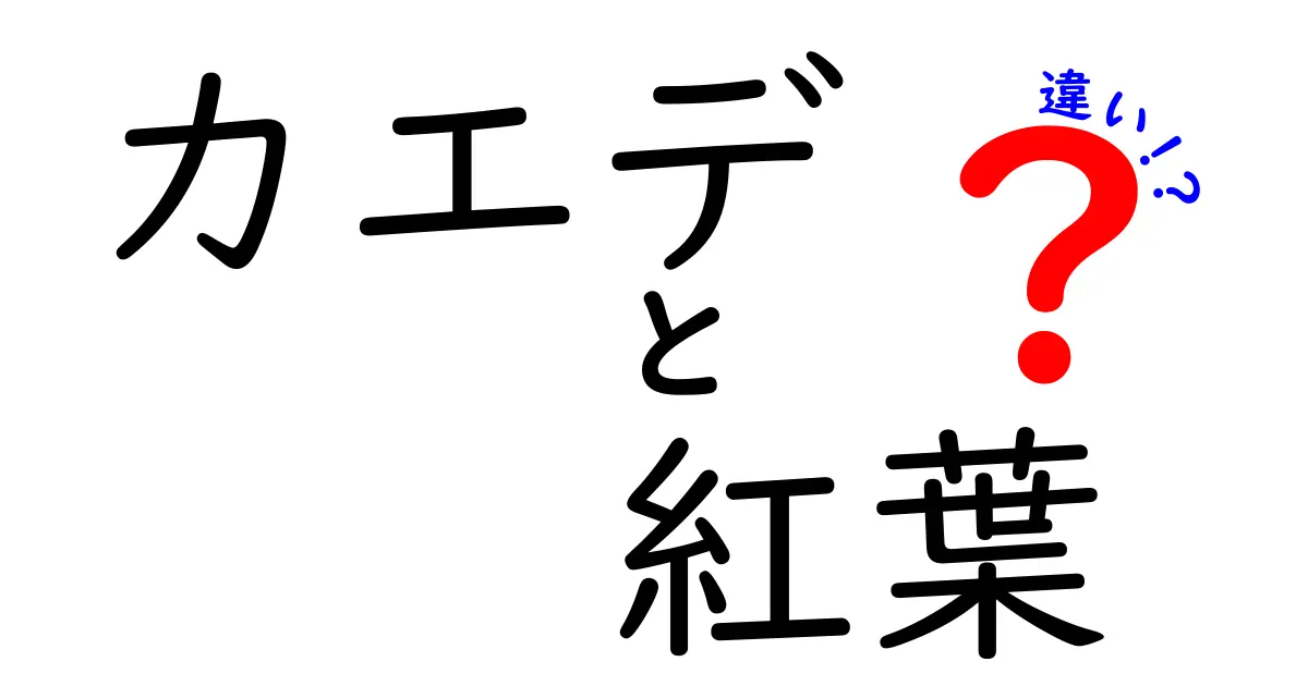 カエデと紅葉の違いを知って美しい秋を楽しもう！