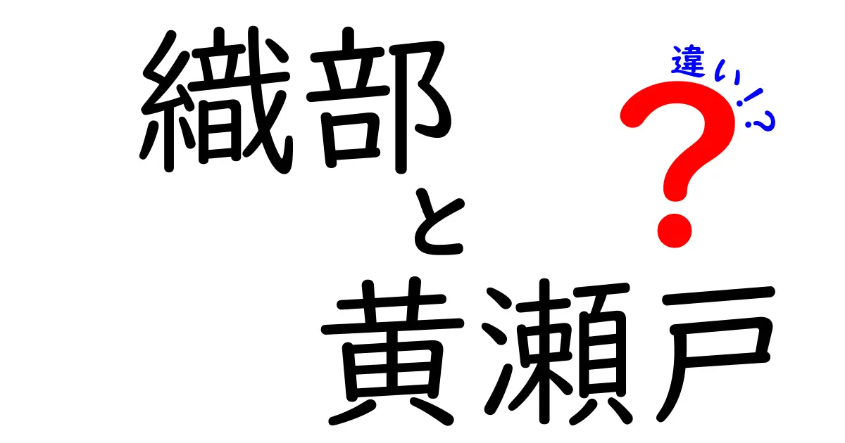 織部と黄瀬戸の違いを徹底解説！それぞれの特徴と魅力とは？