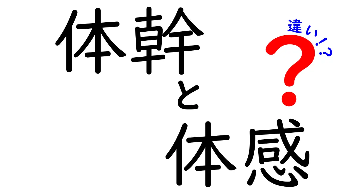 体幹と体感の違いを徹底解説！知って得する身体のこと