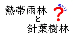 熱帯雨林と針葉樹林の違いは？