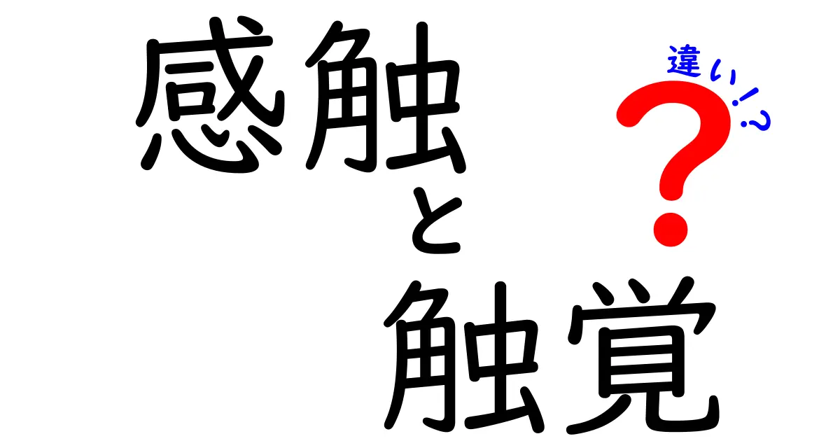 「感触」と「触覚」の違いをわかりやすく解説します！