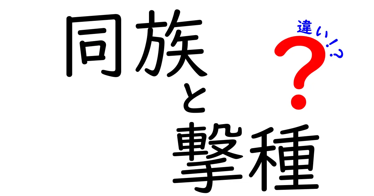 同族と撃種の違いを徹底解説！それぞれの魅力とは？