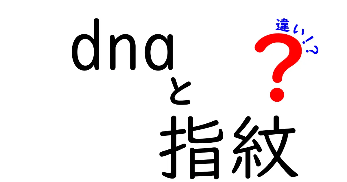 DNAと指紋の違いをわかりやすく解説！あなたの個性を守る秘密とは