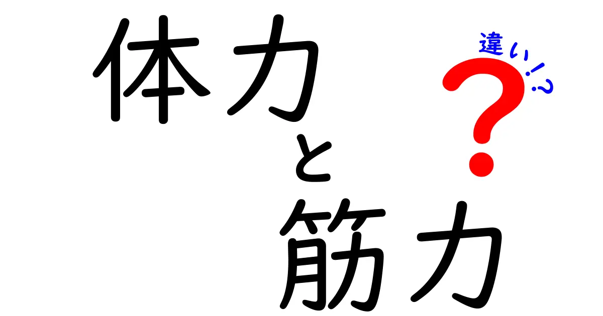 体力と筋力の違いを徹底解説！健康を考える上で知っておきたいポイント