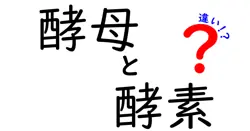 酵母と酵素の違いは？
